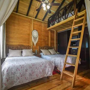 https://alicat-villas.allrivieramayahotels.com